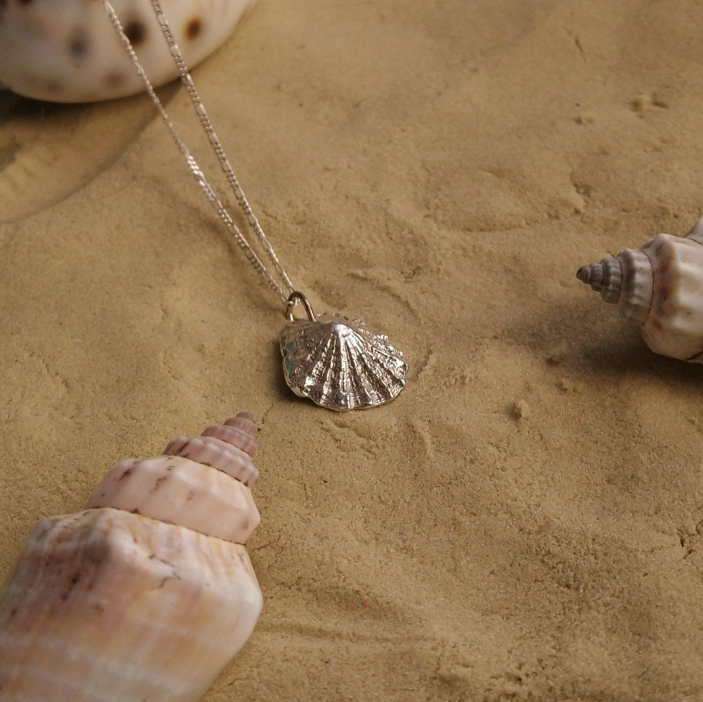 Limpet shell necklace