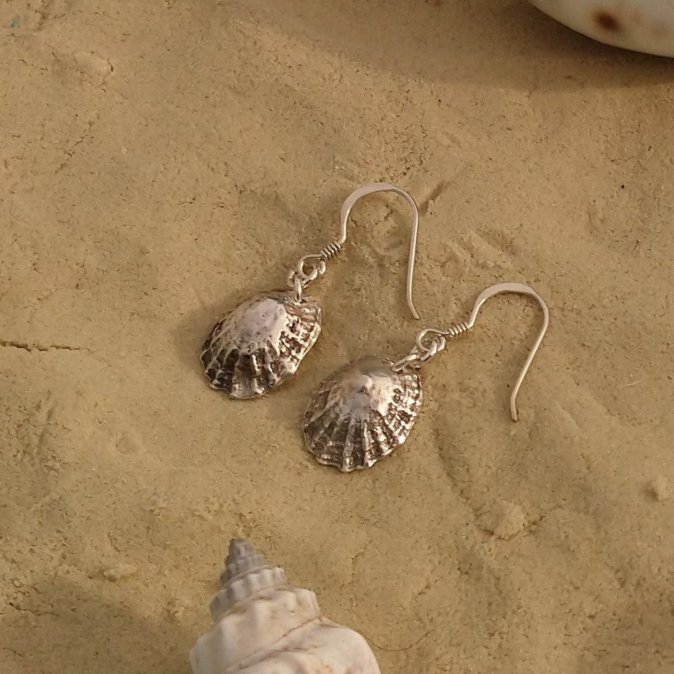 Sea Shell Earrings
