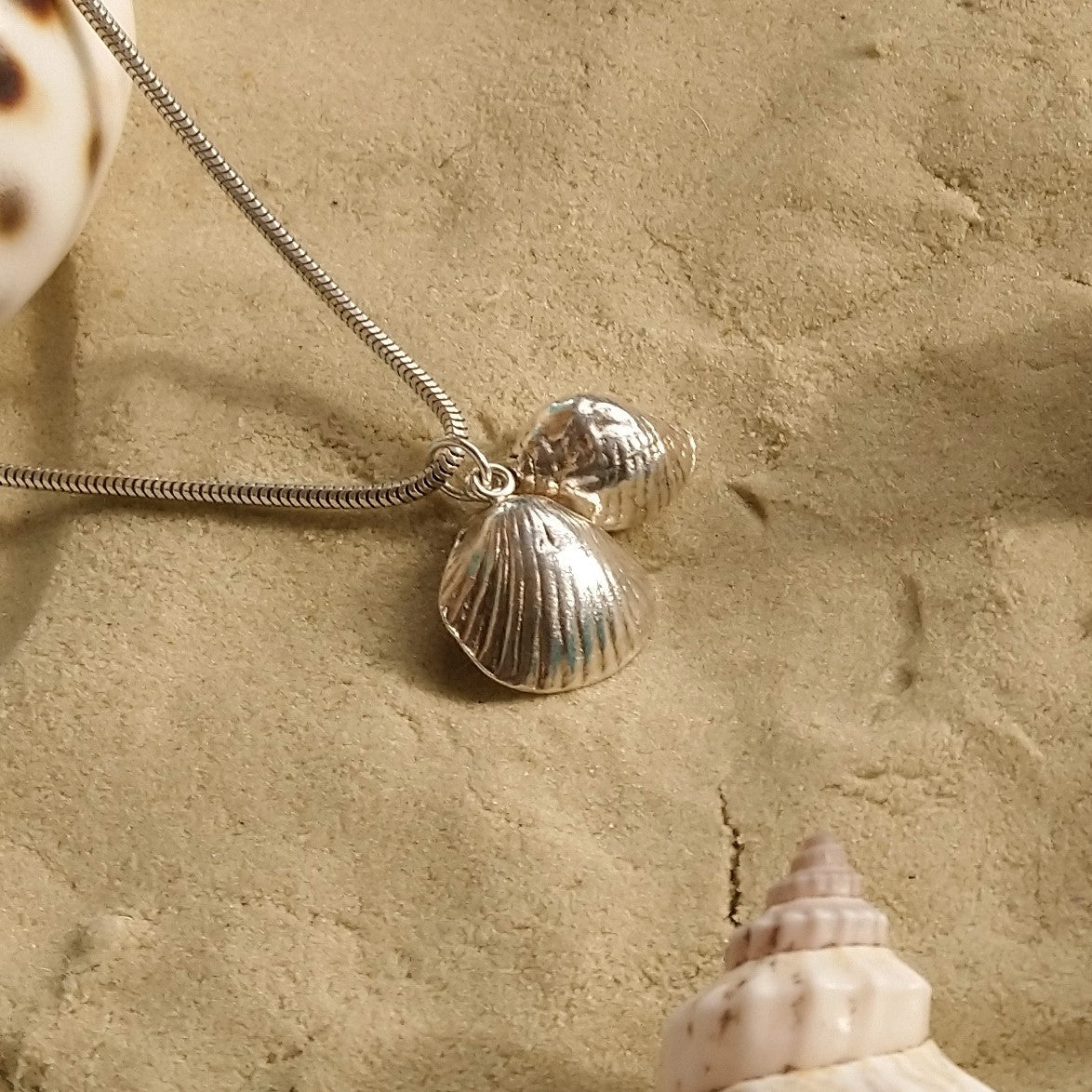 Sea Shells necklace