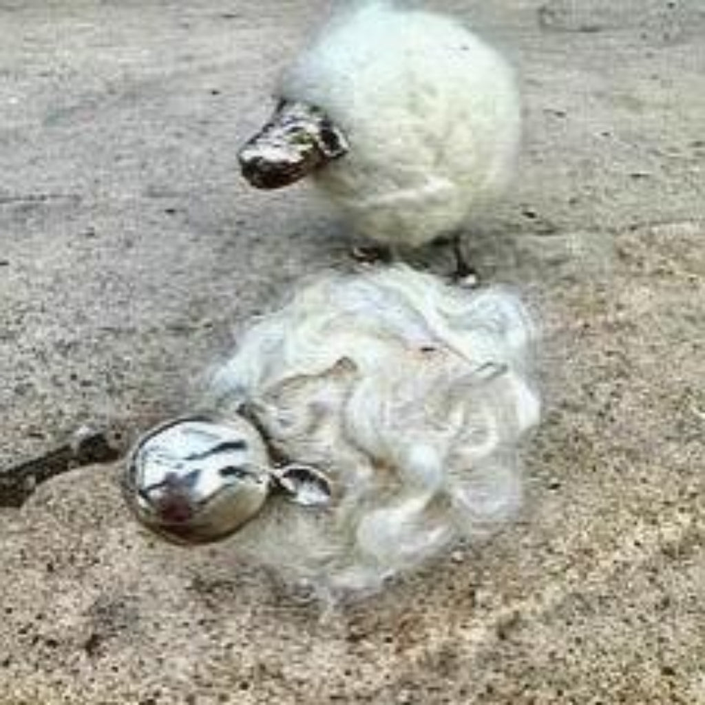 Sheep Making