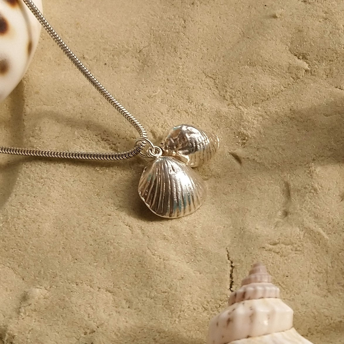 Seashells necklace