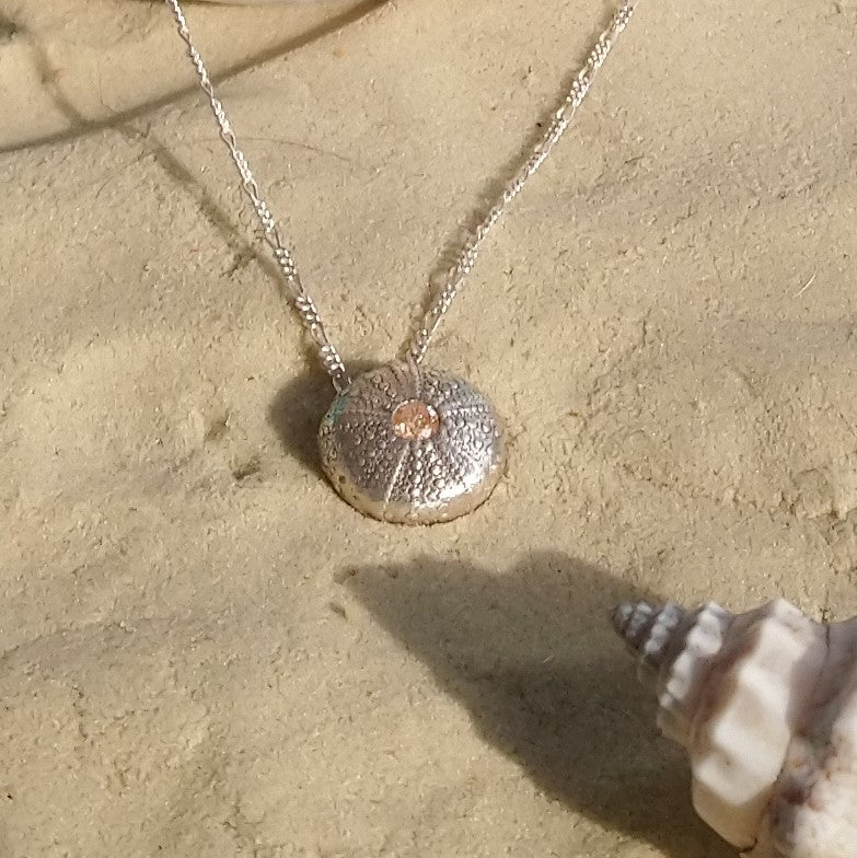 Silver sea urchin