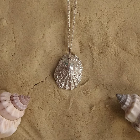 Limpet shell necklace