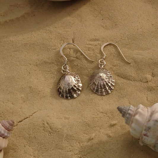 Sea Shell Earrings