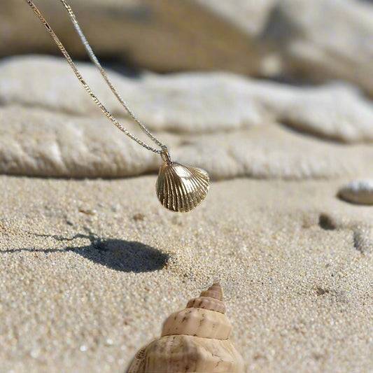 Cockle shell necklace